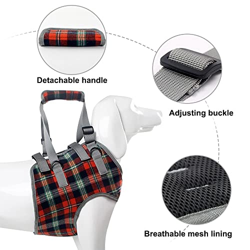 Dog Lift Harness with Handle for Front Legs, Adjustable Straps Support for Old Elderly Disabled Joint Injuries Arthritis Paralysis Walk - Image 4