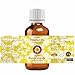 dève herbes Hazelnut Oil (Corylus avellana) | Cold Pressed | Pure | Natural | Undiluted | For Diluting Essential oils | For Skin & Massage | Non-Sticky | Lightweight | Men & Women | 100ml (3.38 oz)