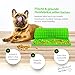 Collory® mini Halbkugel (1cm) Silikon Backmatte und Teigschaber Set zur Herstellung von Hundekekse und Hundeleckerlies DIY, Katzen Leckerli, Hitzebeständig & Antihaftend, Lebensmittelecht BPA-frei