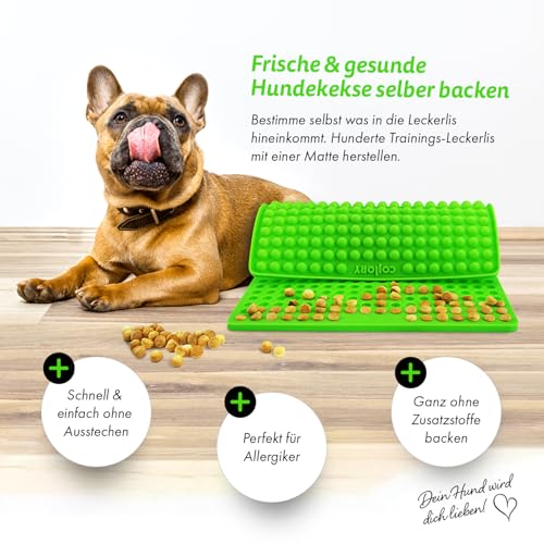 Collory® mini Halbkugel (1cm) Silikon Backmatte und Teigschaber Set zur Herstellung von Hundekekse und Hundeleckerlies DIY, Katzen Leckerli, Hitzebeständig & Antihaftend, Lebensmittelecht BPA-frei