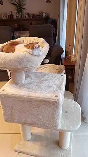 Feandrea Kattenboom, kattentoren met krabpalen, grote baars, grot
