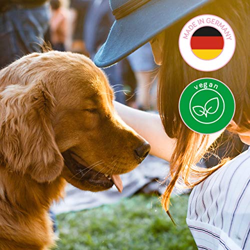 Jack & the Tub Hundeshampoo Fresh Berry 500ml – Shampoo für Hunde mit Conditioner und frischem Beeren Duft