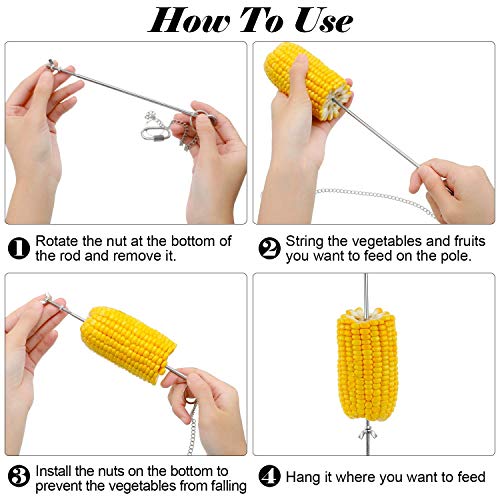 3 stuks kippenvogel groenten spies fruithouder, vogel fruithouder roestvrij staal vogeltraktatie spies, voedselvoer… - Afbeelding 5