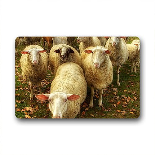 Doubee diseño Felpudo Oveja Sheep Herzlich Premium Suciedad Alfombrilla Felpudo 46 cm x 76 cm