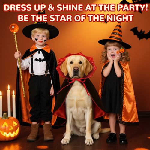 Cape para perros disfraz vampiro Halloween negro miniatura 6