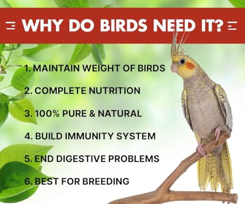 Image of Boltz Bird Food for Cockatiel & Lovebirds Mix Seeds 1.2 Kg * 4, Canary Seed, Sunflower Seed, All Stage Bird Food, Natural and Healthy Premium Seeds, Improve Birds (Mix Seed,4800 Gm)