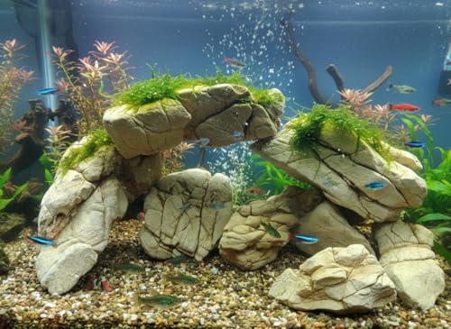 Image of Natural Elephant Skin Stone for Aquarium & Aquascaping - Textured Elephant Rock Hardscape for Betta, Shrimp & Planted Tanks (0.9, Kilograms)