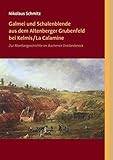 Galmei und Schalenblende aus dem Altenberger Grubenfeld bei Kelmis/La Calamine: Zur Montangeschichte im Aachener Dreiländereck (Berichte aus dem Bergbau) - Nikolaus Schmitz