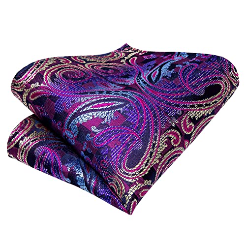 Image of Hi-Tie Paisley Floral Ties Set for Men Silk Mens Stripes Necktie Pocket Square Cufflinks Set Formal Business