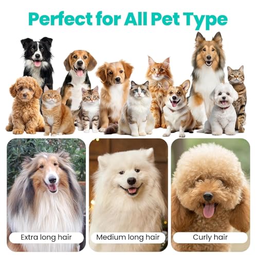 Neakasa P1 Pro Hundeschermaschine mit Staubsauger, leise Schermaschine Hund Katze, Profi Haustierpflegeset, Tierhaarschneidemaschine, elektrische Hundetrimmer mit 5 bewährten Pflegewerkzeugen