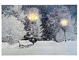 zeitzone LED Bild Schneelandschaft Parkbank Beleuchtet Weihnachten Winterlandschaft 38x58cm