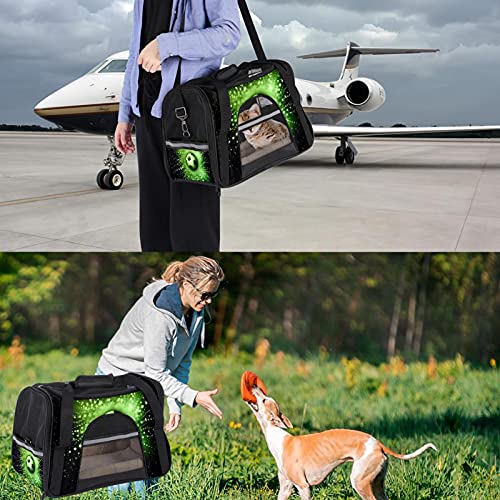 Sac de transport de chat chien lapin approuvé compagnies aériennes - 8