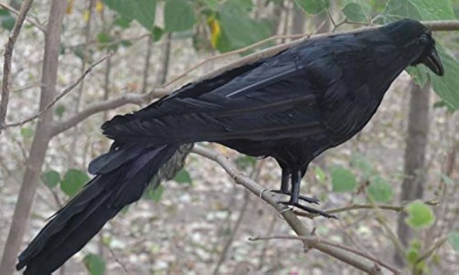 シリーズ 福祉に生きる 1〜35 19欠 25ZX400S_GN1DRS3CG_A.jpg