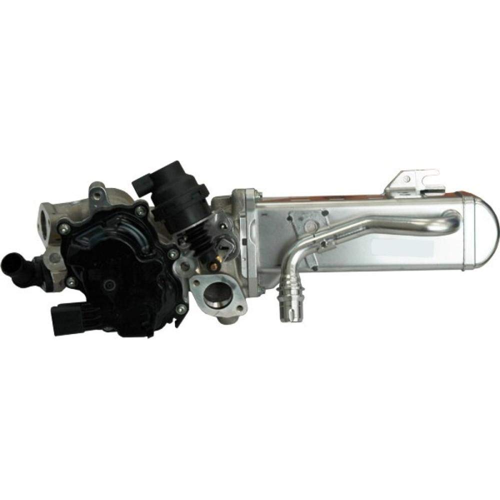 Meat & Doria 88203 EGR Ventil komplett