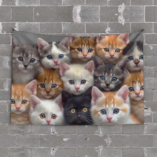 CDSS Tapsterys Tapsterys - Tapiz de pared con diseño de gatitos adorables que miran en tu alma, decoración de habitación para dormitorio, estética de hombres (100 x 150 cm)