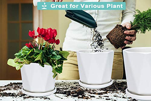 White Ceramic Geometric Indoor Plant Pot with Tray - Set of 3 Middle and Large Modern Planter (5.4\" 6.8\" 8.1\"), Diamond Texture Flower Pots with Drainage Hole and Saucer for Indoor Outdoor Plant
