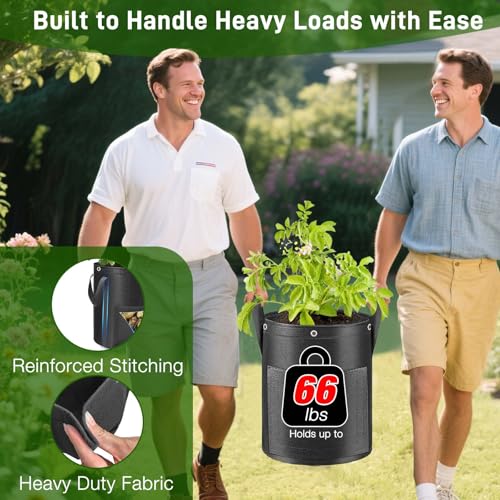 4 Pack 10 Gal LST Window Bags