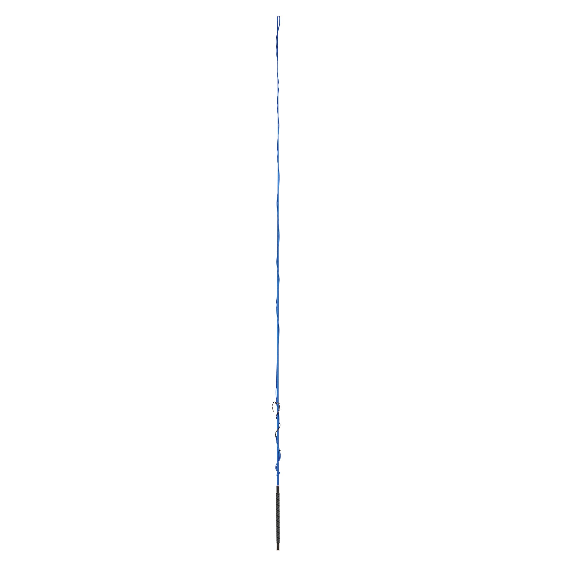 Fouet De Longe Dublin Brights – 160 Cm, Poignée Caoutchouc Texturé