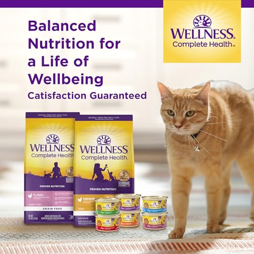 Wellness Complete Health Adult Dry Cat Food for Indoor and Outdoor Cats, Wholesome Grains, Natural, Chicken & Chicken Meal (5 Pound Bag) - Image 8