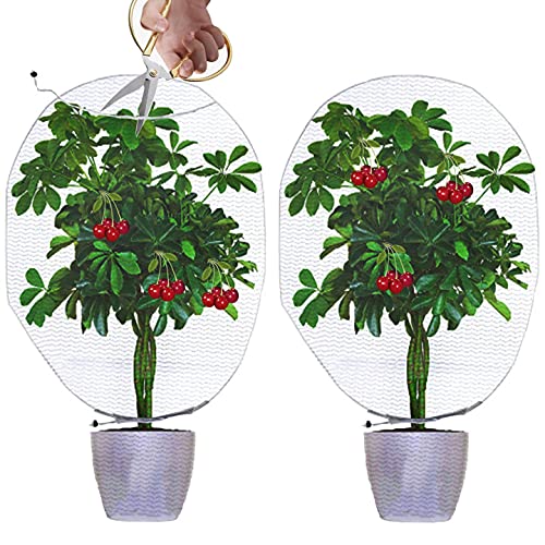 Cicada Netting for Trees Can Open The Top, Plant Cover 2 PCS, 4.92 X 3.28 Feet Insect Netting, Young Tree Bags for Cicadas Anti Bird Barrier Mesh with Drawstring Adopts to Protect Fruit from Animal