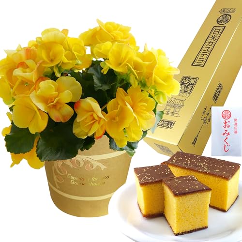 Ԃ̃Mtg َq [K[X  Mtg a v[g A  [K[XxRjA