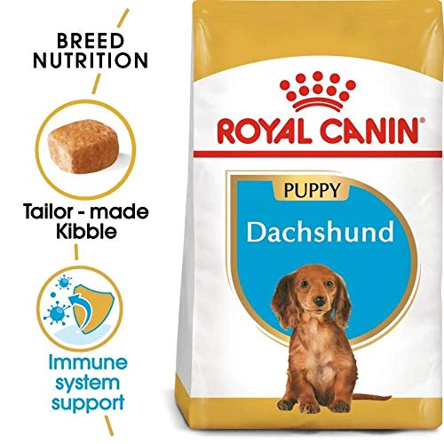 ROYAL CANIN Dachshund Puppy | 1,5 kg | Trockennahrung für Dackel-Welpen bis 10 Monate | Zur Unterstützung von Immunsystem, Verdauung & Knochenentwicklung | Kalziumfängerkroketten