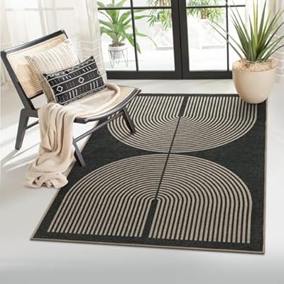 Lahome Modern Rainbow Easy Jute Rug, 3x5 Patio Rugs Washable Rugs for Entryway Farmhouse Black Classroom Office Rug, Non Slip Indoor Door Mat Contemporary Outdoor Porch Rug for Guestroom Room Decor