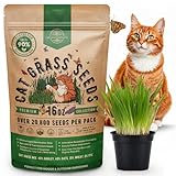 Organo Republic Cat Grass Seeds Mix - 20,800 Non-GMO Heirloom Seeds for Cats & Pets, 16 oz Pack for Growing Fresh Barley, Oat, Rye & Wheat Grass Seeds for Planting, Indoor Plants, Hairball Remedy