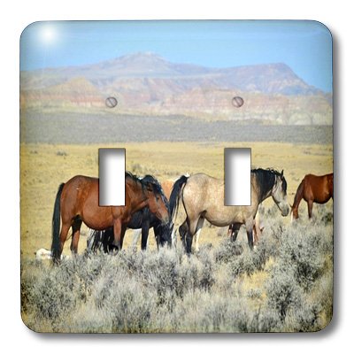 Double interrupteur à bascule Wild Mustang pour remplacer une plaque murale terne
