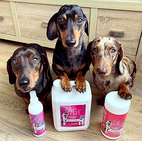 Pretty Pooch® Gentle Touch Shampoo und Conditioner für Hunde, ein nicht juckendes, professionelles Tiefenreinigungsshampoo für Hunde mit empfindlicher Haut (2 l, Babypuderduft)