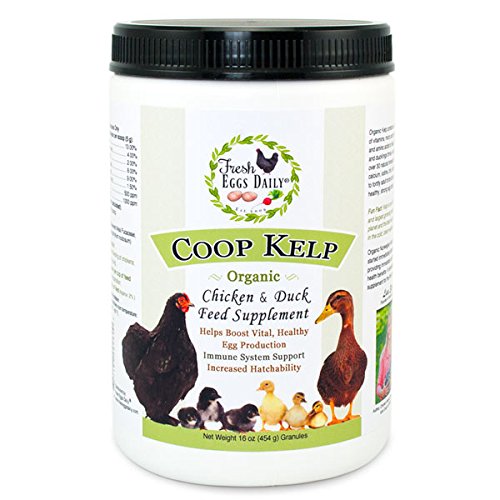 Fresh Eggs Daily Coop Kelp Organic Chicken and Duck Feed Supplement 1LB