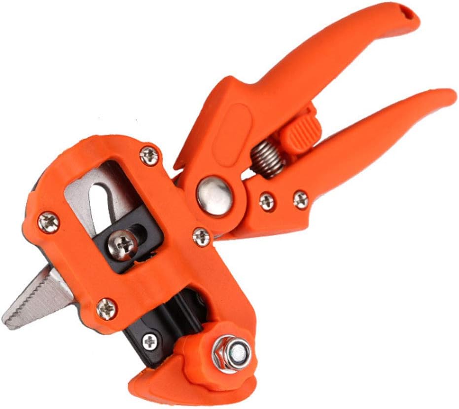 Foarfeca de Gradina 1