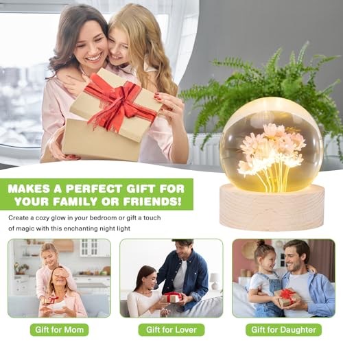 Image of Daisy Lamp,2.4-Inch Flower Crystal Ball Night Light, Real Daisies Inside with Wood Base, Warm Bedroom Glow (Daisy)
