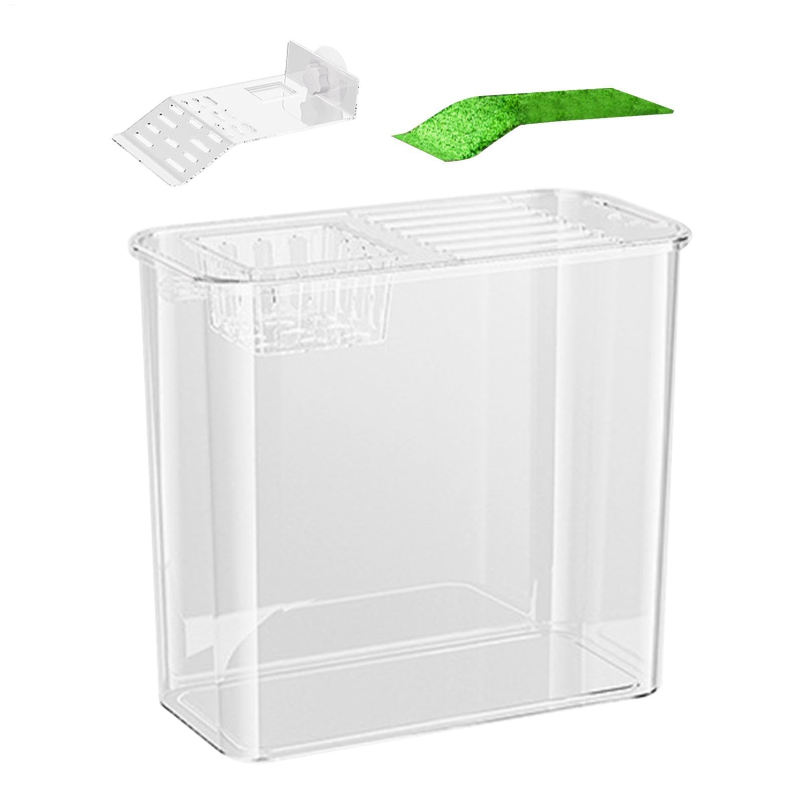 Terrarium transparent pour tortue et grenouilles idéal pour le salon