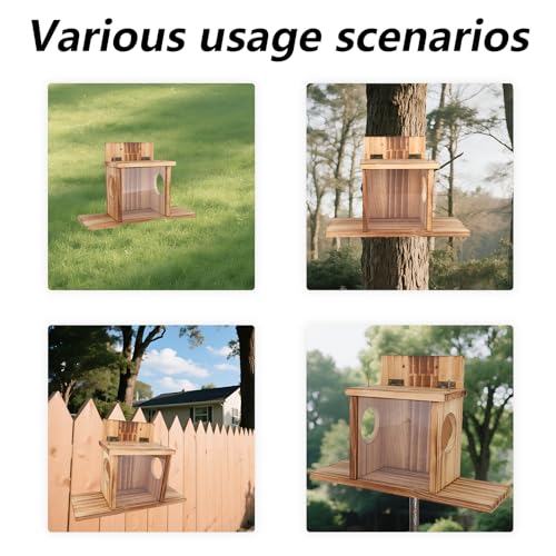 lasuroa Futterspender für Eichhörnchen, Eichhörnchen-Futterspender Den Außenbereich mit 2 Futterfenstern für Mais Erdnüsse Pinienkerne Maiskolben mit Transparenter Abnehmbarer Platte