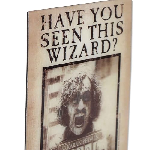 Imán metálico Harry Potter Sirius Black rectangular miniatura 4