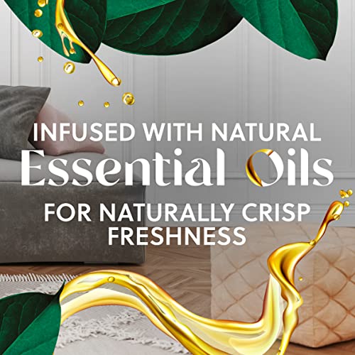 Air Wick Scented Oil Refill, 5Ct, Fresh Waters, Air Freshener, Essential Oils #TOP2