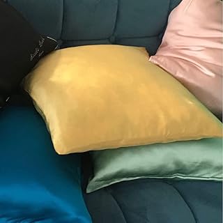 Housses de Coussins en Soie Bio Luxe Fermeture Invisible Bleu Royal, Bleu foncé,Bleu Ciel,Rose Clair,Jaune,Vert,Vert foncé,Beige 50x50 (Lichen, 50CM×50CM)