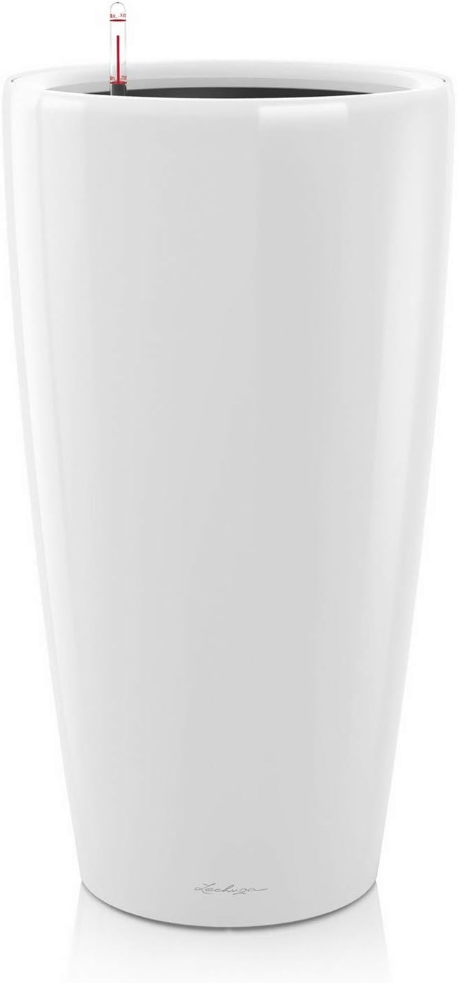 Lechuza Maceta, Rondo Premium