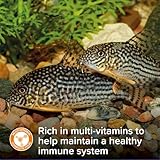 King British – Algae Wafers 40g – Multi-Vitamin Complete Sinking Fish Food – For Bottom Feeding Catfish, Plecostomus & Algae Eating Fish Natural Ingredients - Image 4