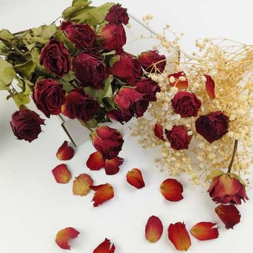 Ramo de flores secas naturales TooGet, 10 rosas rojas, pack 2 miniatura 4