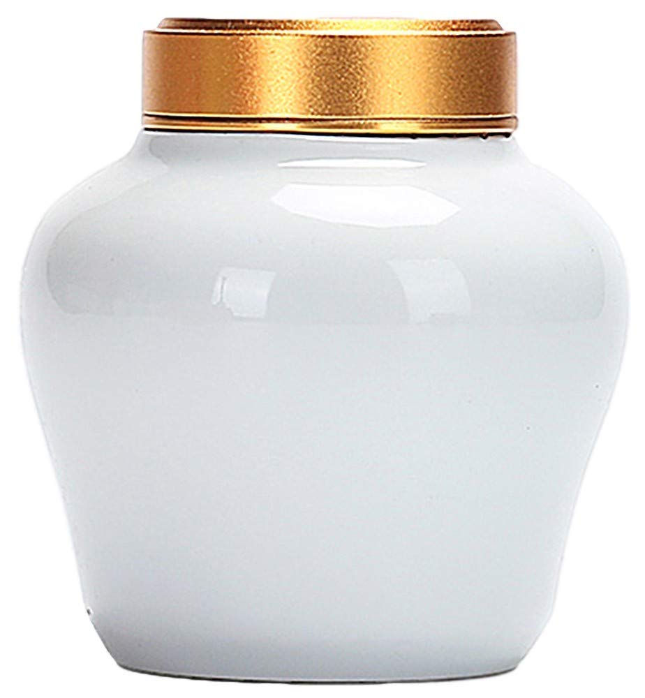 Amazon.co.jp: 【国内正規品】 MXL エムエックスエル コンデンサー