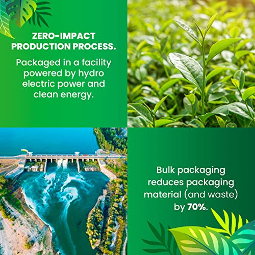 Organic Green Tea — 100 Tea Bags| Organic Tea From Single Origin | Eco-Friendly Tea Bags | Non-Gmo Tea With Zero Sugar | Cederberg Tea Company #TOP4