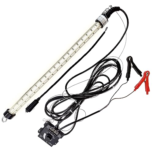 W LED W 邳 t 12v p 80w ނ 镰 WCg 铔 CJ VXEiM ^`EI AW iCg^Co CJނ (80w-g)