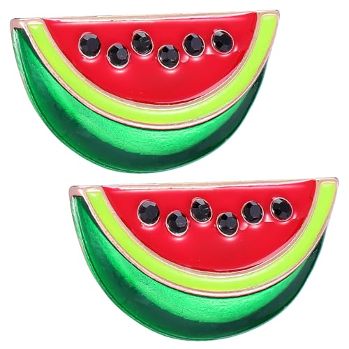 Healifty �X�C�J�̃u���[�`�s�� �ߗޗp���ߋ� �J�[�f�B�K���N���b�v �V���[���N���b�v ���f�B�[�X�p�X�J�[�t�Œ� �������� 2�Z�b�g