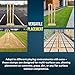 CBB Cricket Wicket Stumps Multi-Surface Placement with Wood Base