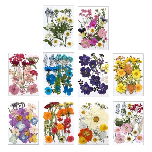 Flores Secas Prensadas Naturales para Resina Epoxi Set miniatura 3
