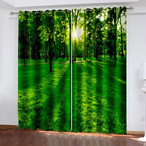 SVTUSR Cortinas Salon Modernas 2 Piezas Cortinas Opacas Termicas Aislantes Frio Y Calor con Ojales 140X160Cm 3D Fotografía De Bosque Verde Patrón Opacas para Ventanas Dormitorio