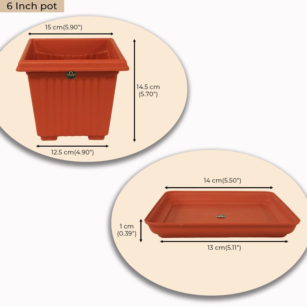 TrustBasket 6 inch Square Plastic Planter with Saucer - Set of 3 - Image 2 thumbnail