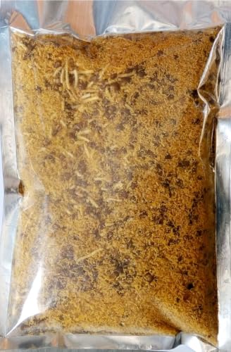Image of Farrukhabad's Famous Hing Flavour Daalmoth |Tea Time Snacks | Dalbiji (500 Grams)